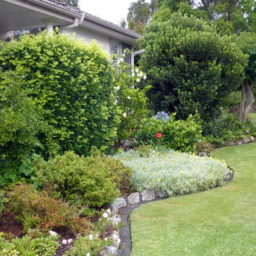Sheng Qi - Tips de Feng Shui